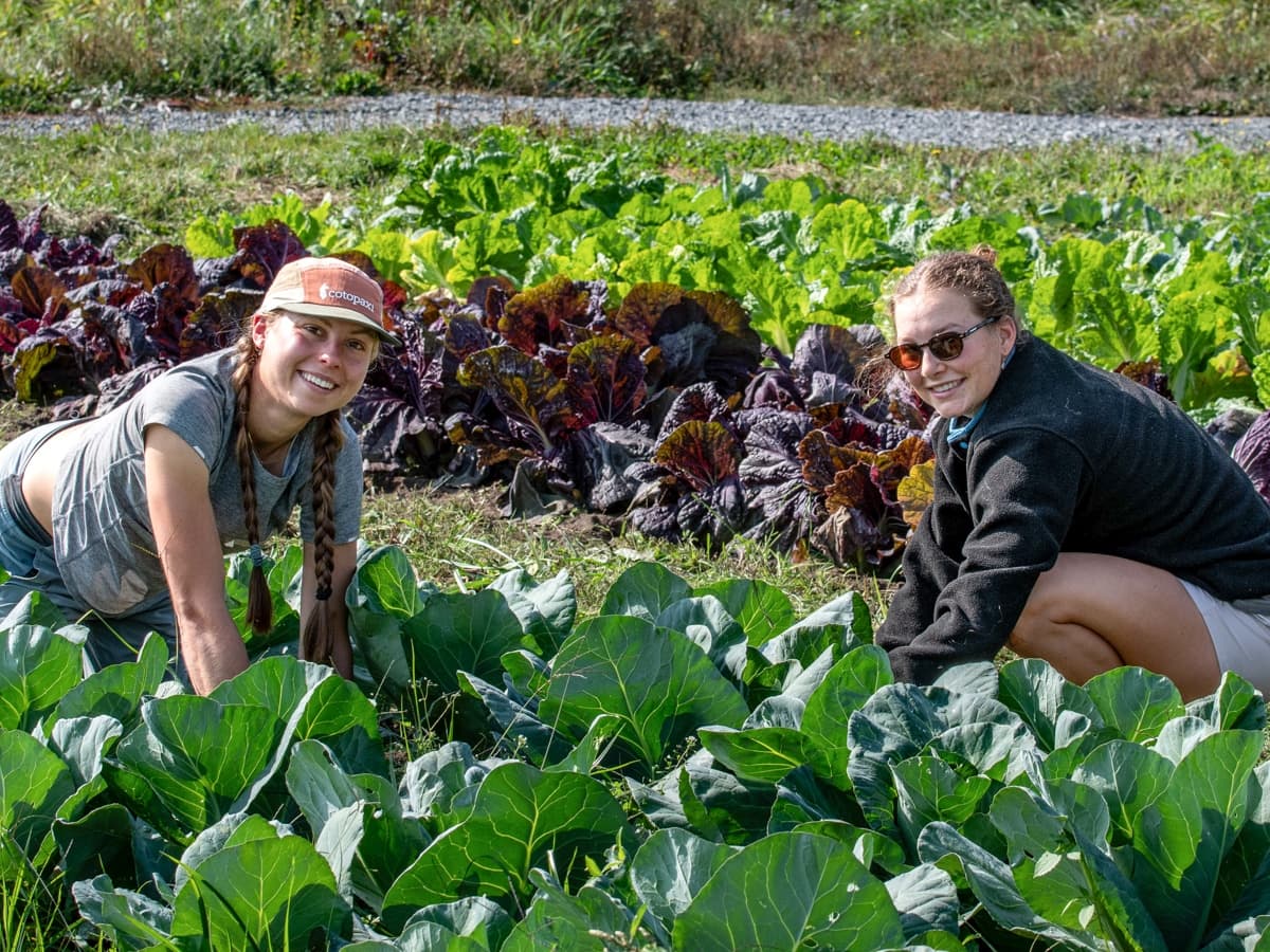 Farm Steward Saturdays Volunteer